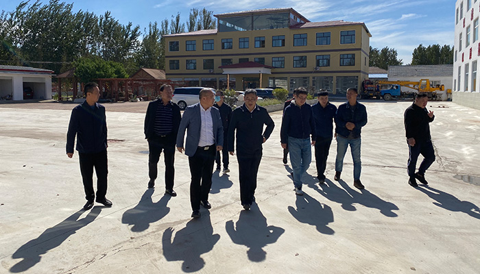 Leaders' Inspection